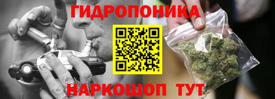 СК Владивосток