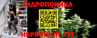 метадон Владимир